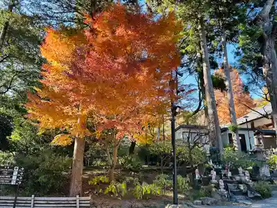 宝城坊(神奈川県)