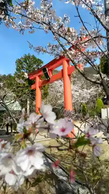 木華佐久耶比咩神社の鳥居