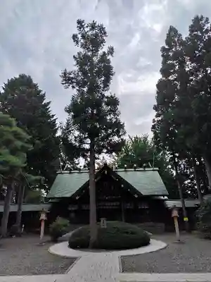 琴似神社(北海道)