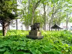 羽幌神社(北海道)