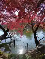 井の頭弁財天(大盛寺)(東京都)