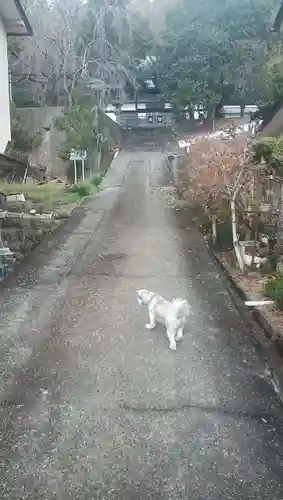 隨岸寺の建物その他