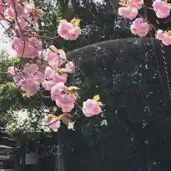 鹿島台神社の自然