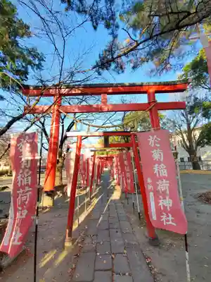 於菊稲荷神社の鳥居
