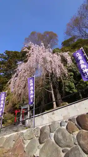 立鉾鹿島神社の庭園