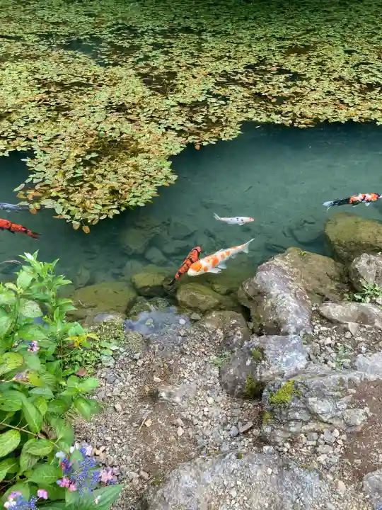 三光寺の御朱印