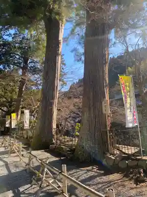 室生寺(奈良県)