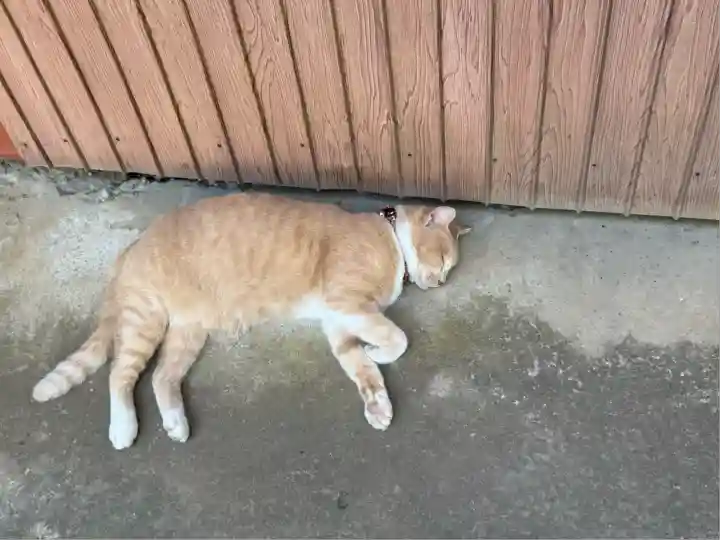 清水寺(千葉県)