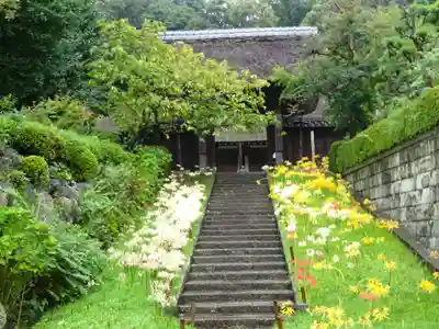横浜 西方寺の山門・神門