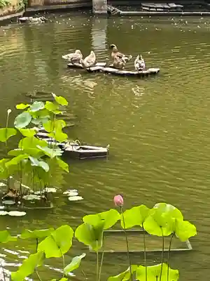生田神社(兵庫県)