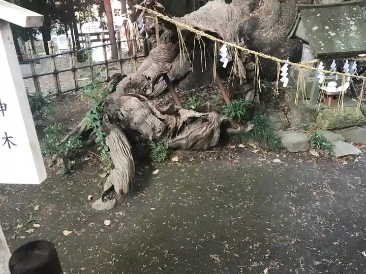 草薙神社の自然