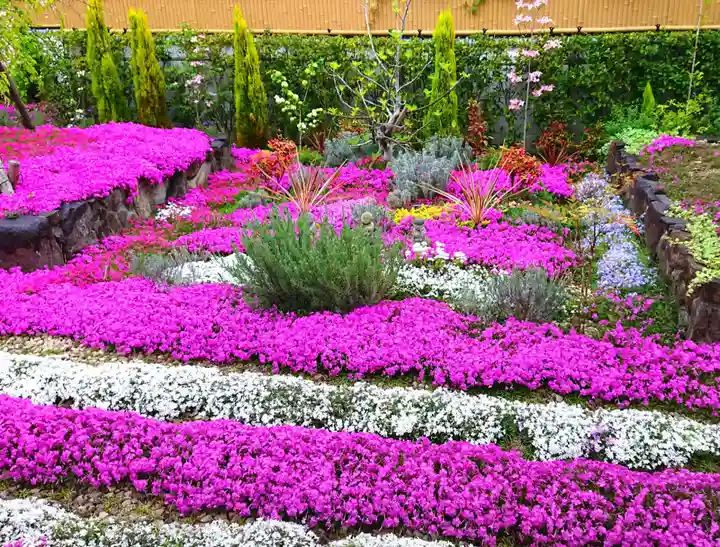 寿量山 速成寺の自然