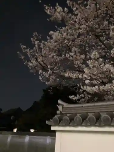 十輪寺のその他建物