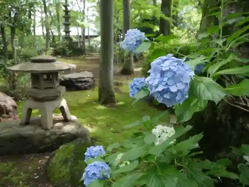 妙法寺の庭園