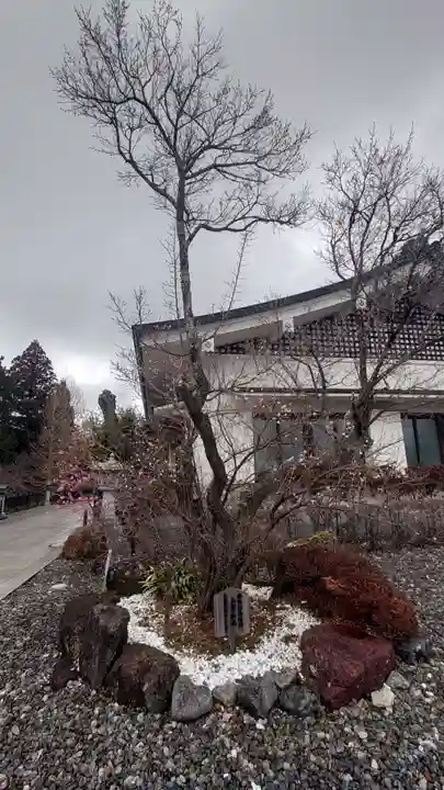 秋葉山本宮 秋葉神社 上社(静岡県)