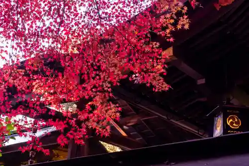 八大神社(京都府)