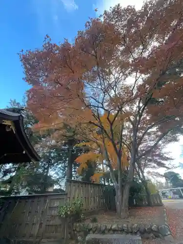 高麗神社(埼玉県)