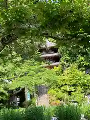 松尾寺(奈良県)