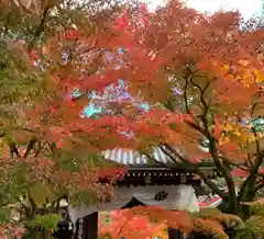 禅林寺（永観堂）(京都府)