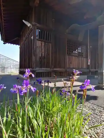子之神社の本殿・本堂