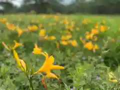 山の神神社の自然