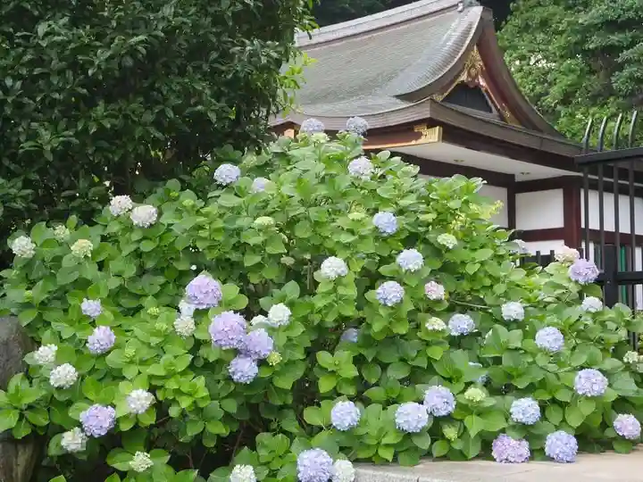 瀧泉寺(目黒不動尊)の自然