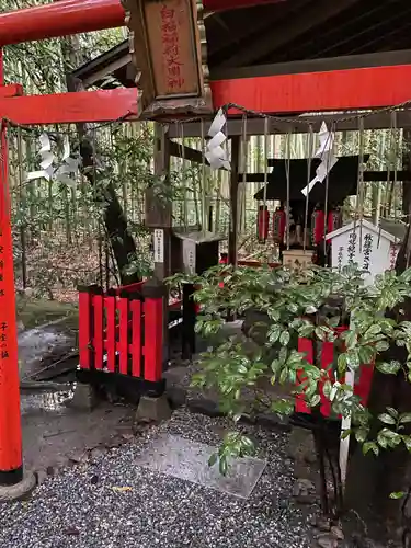 野宮神社(京都府)
