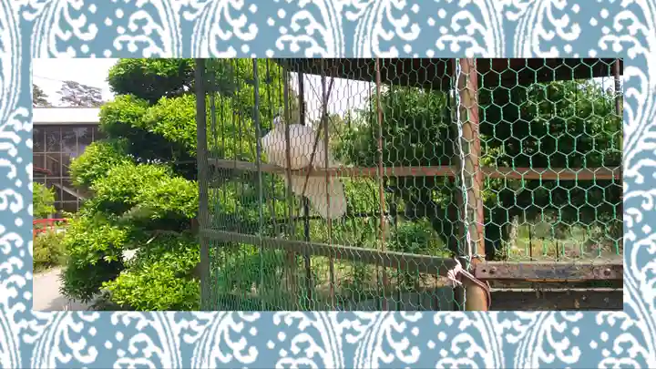 進雄神社(群馬県)
