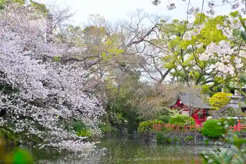 三嶋大社(静岡県)