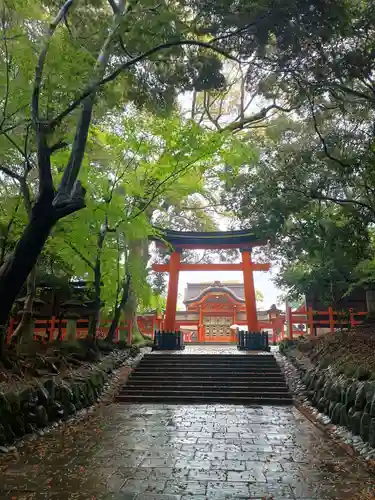 宇佐神宮(大分県)