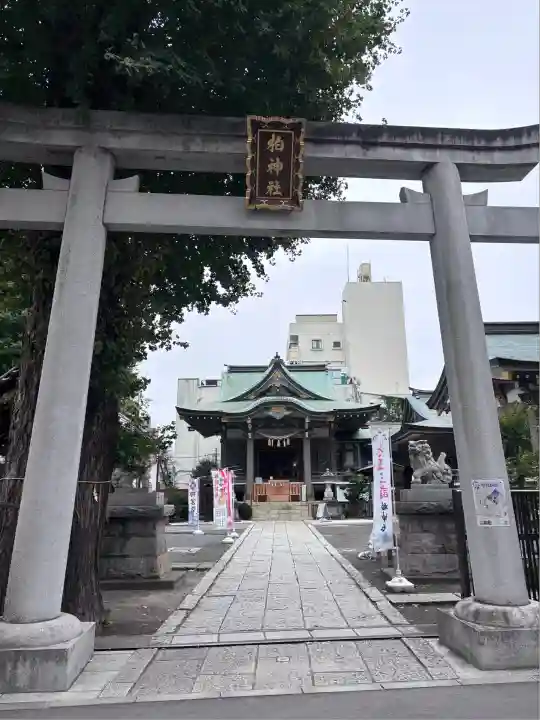 柏神社(千葉県)