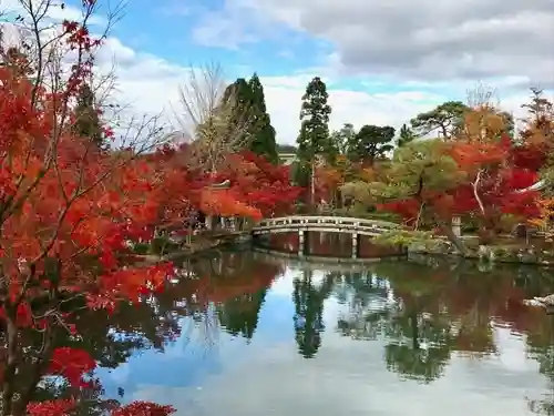 禅林寺（永観堂）(京都府)
