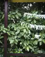 忍 諏訪神社・東照宮 (埼玉県)