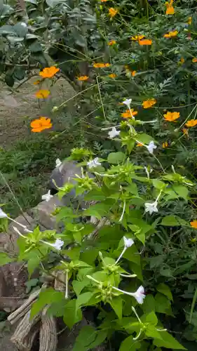 西福寺(京都府)