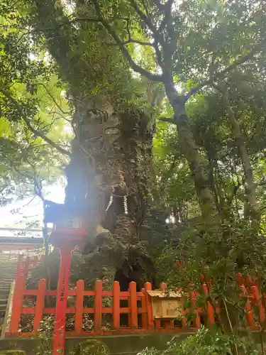 新田神社(鹿児島県)