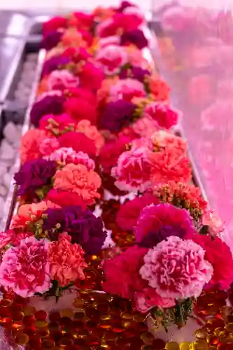 宮地嶽神社(福岡県)
