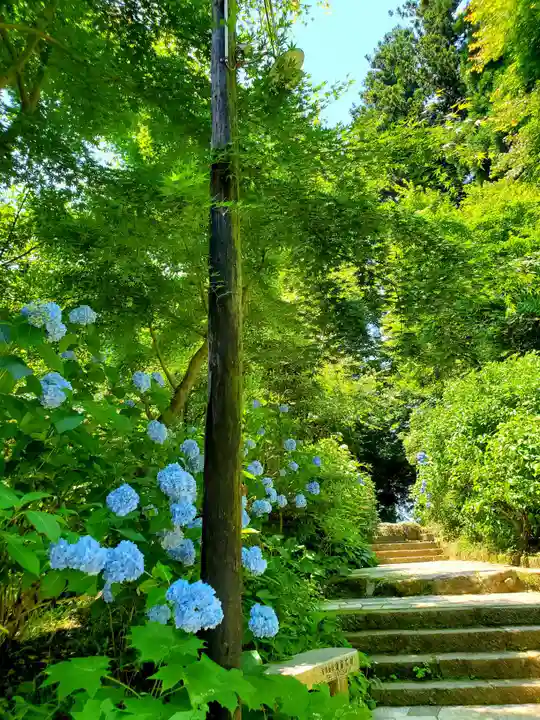 石都々古和気神社の自然