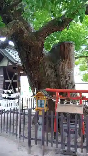 阿遅速雄神社のその他建物