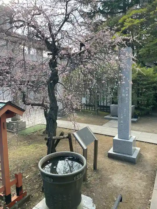 川口神社(埼玉県)