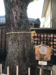 本宗稲荷神社の自然