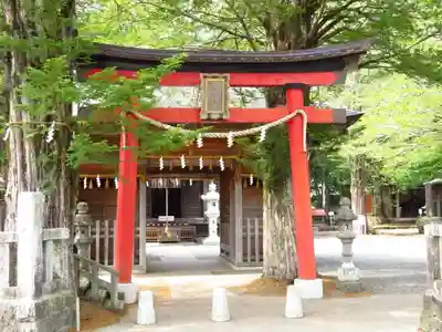 淺間神社（忍野八海）の鳥居