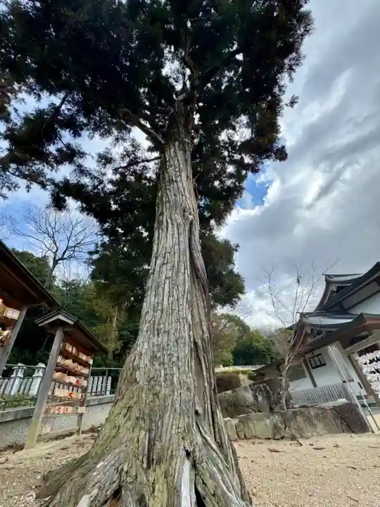 日岡神社(兵庫県)