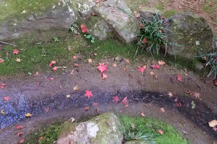 勝持寺(花の寺)(京都府)