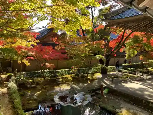 永源寺の庭園