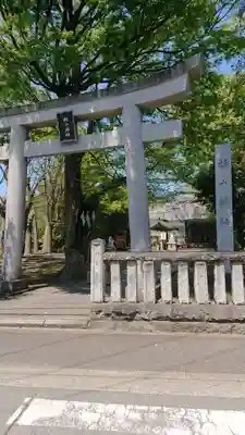 戸部杉山神社の鳥居