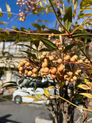 八剣神社(長野県)