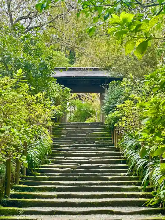 明月院(神奈川県)