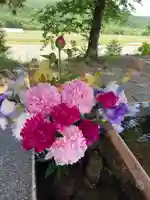 高司神社〜むすびの神の鎮まる社〜(福島県)