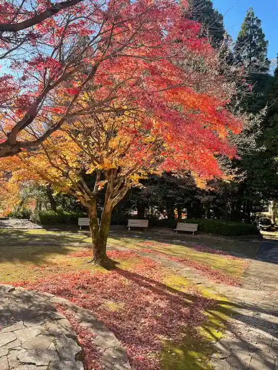 冠嶽神社の自然