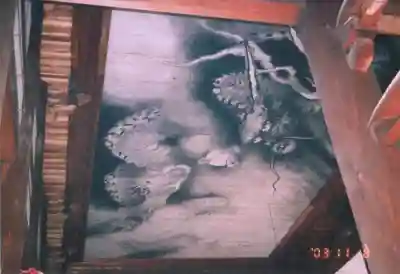 東福禅寺（東福寺）の芸術